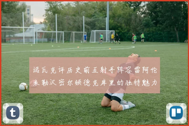 诺瓦克评历史前五射手阵容雷阿伦米勒汉密尔顿德克库里的独特魅力与影响