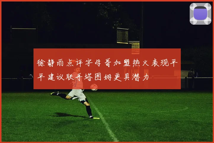 徐静雨点评字母哥加盟热火表现平平建议联手塔图姆更具潜力